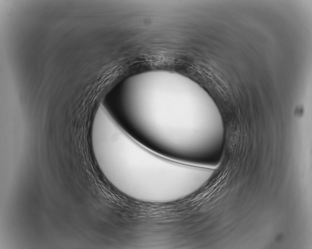 X0000099301345200805020747