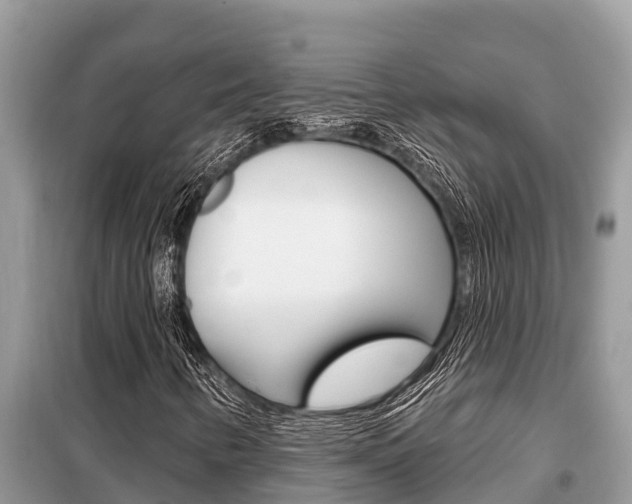 X0000099301346200805020747