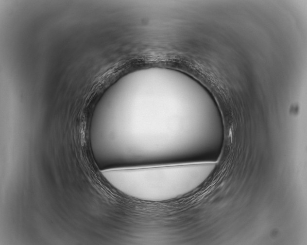 X0000099301348200805020747