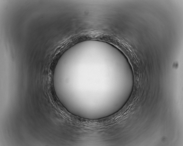 X0000099301349200805020747
