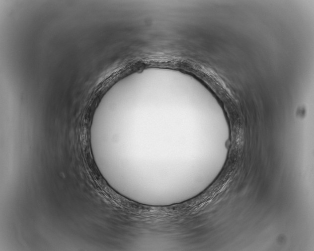 X0000099301350200805020747