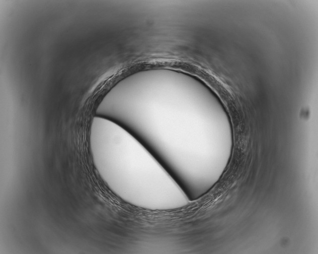 X0000099301351200805020747