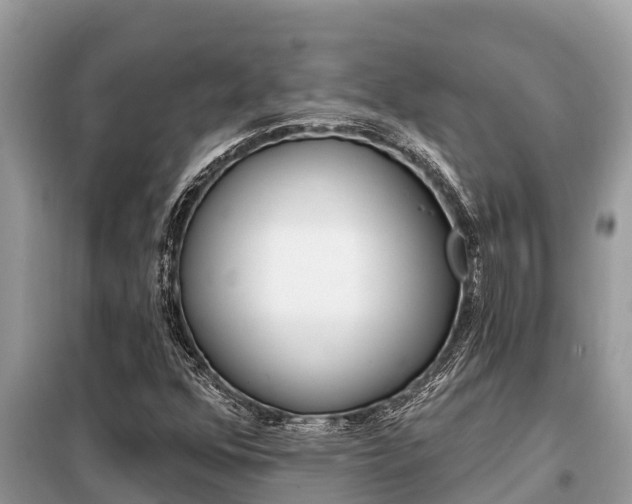 X0000099301352200805020747