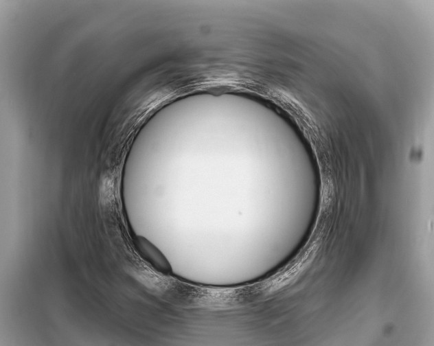 X0000099301353200805020747