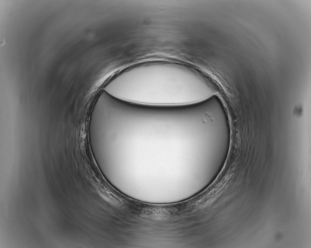 X0000099301355200805020747