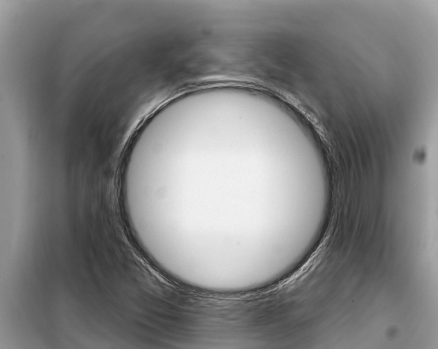X0000099301357200805020747