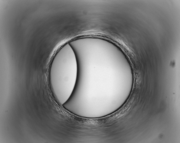 X0000099301358200805020747