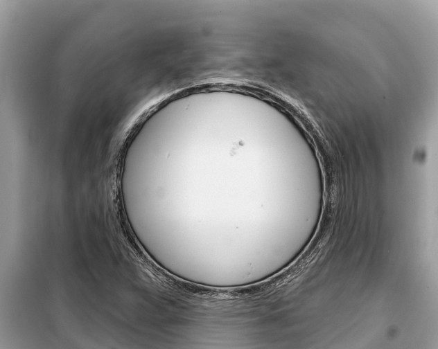 X0000099301359200805020747