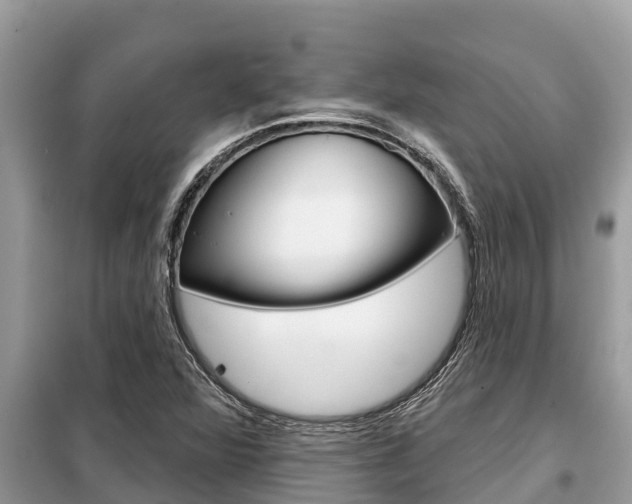 X0000099301360200805020747