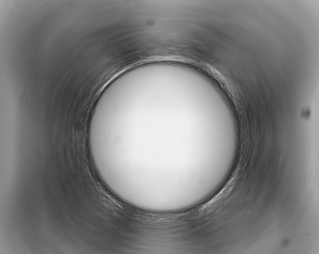 X0000099301361200805020747