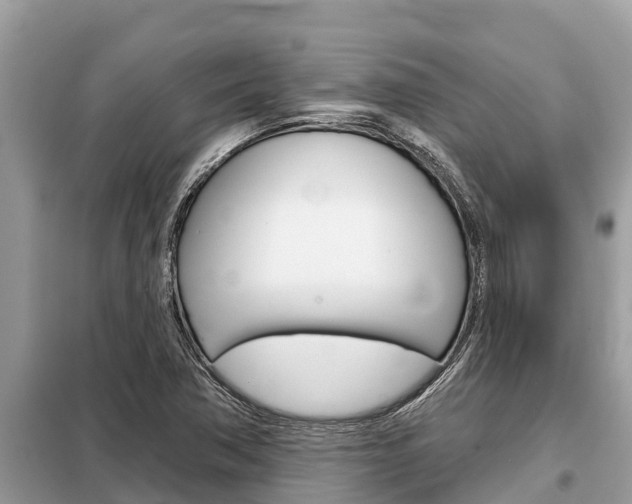 X0000099301362200805020747