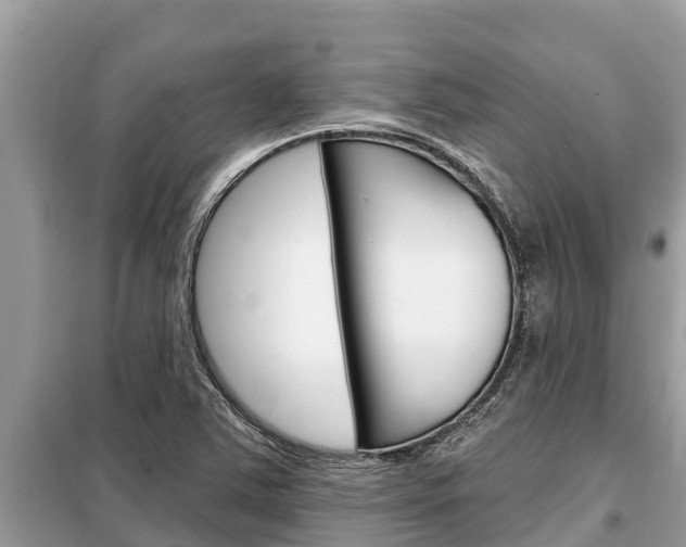 X0000099301363200805020747