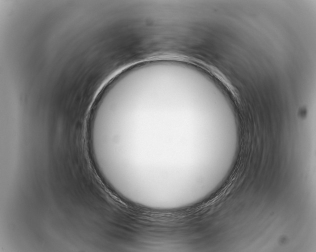 X0000099301364200805020747