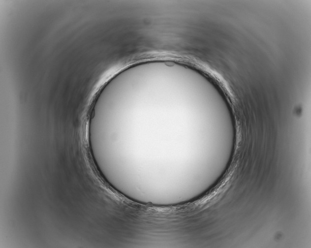 X0000099301365200805020747