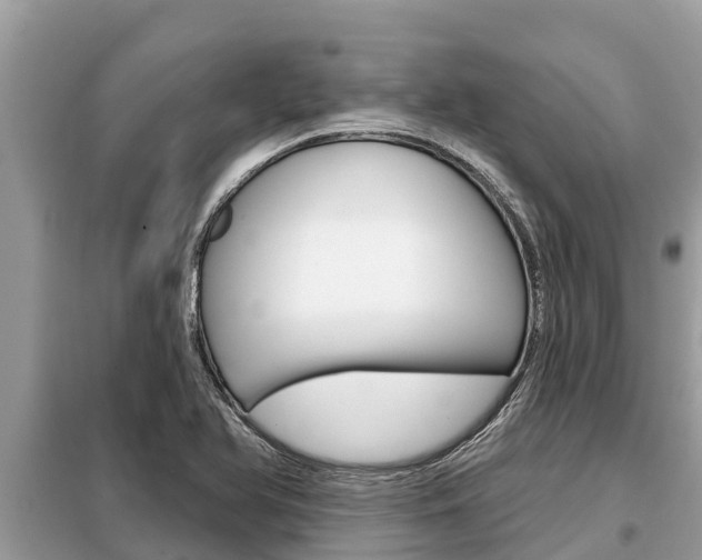 X0000099301366200805020747