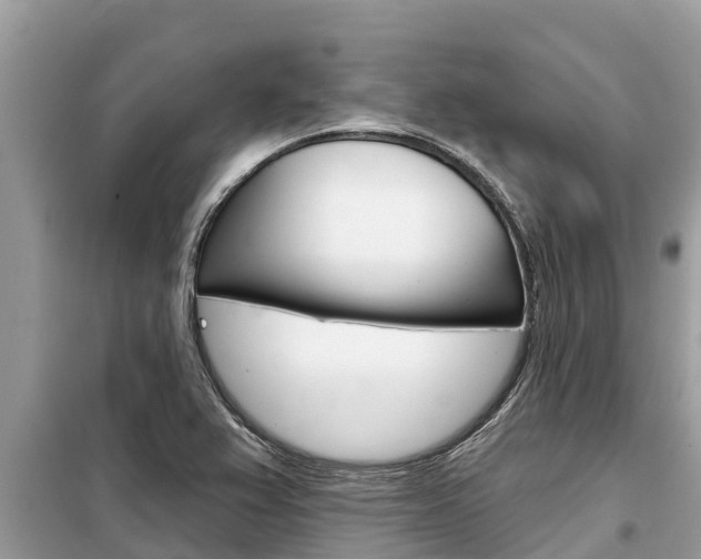 X0000099301367200805020747
