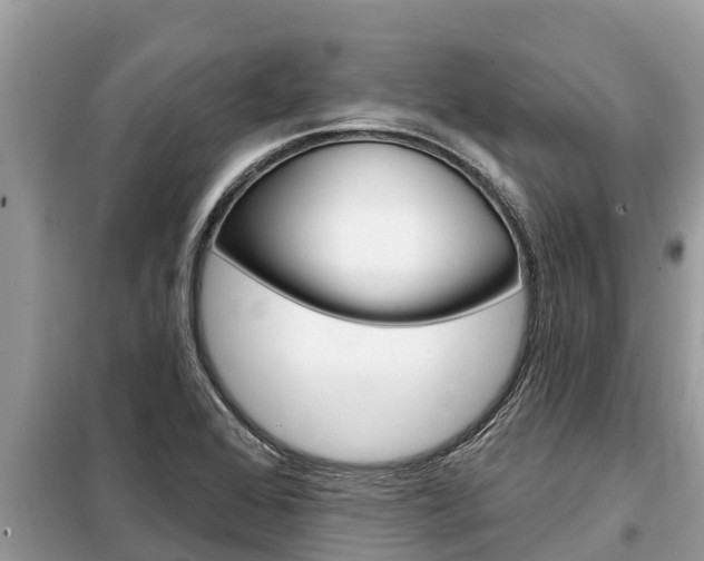 X0000099301368200805020747