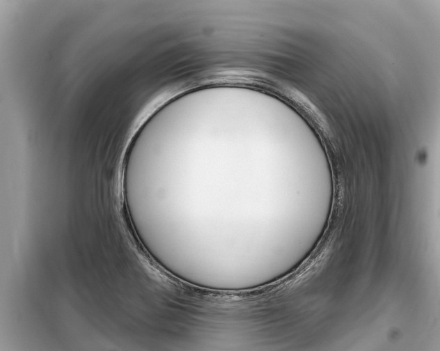 X0000099301370200805020747