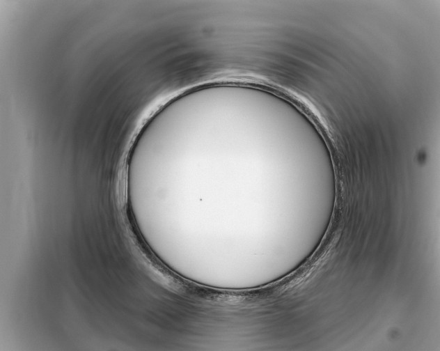 X0000099301371200805020747