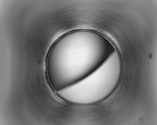 X0000099301372200805020747