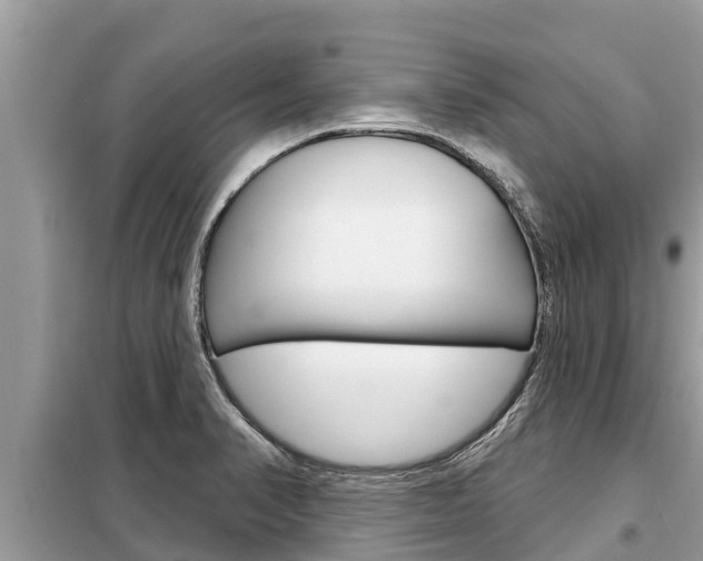 X0000099301374200805020747