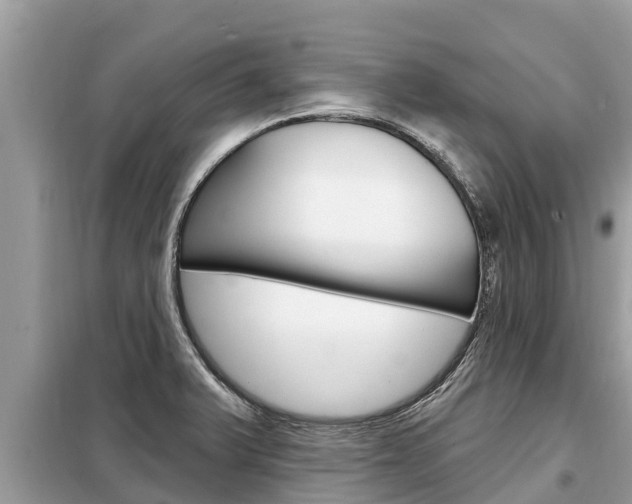 X0000099301375200805020747
