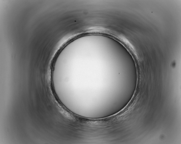 X0000099301376200805020747
