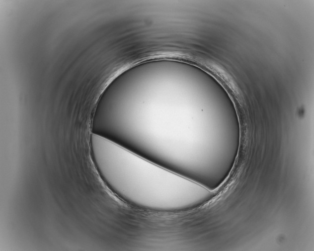 X0000099301377200805020747