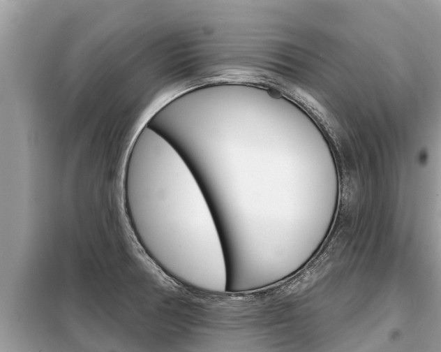X0000099301378200805020747