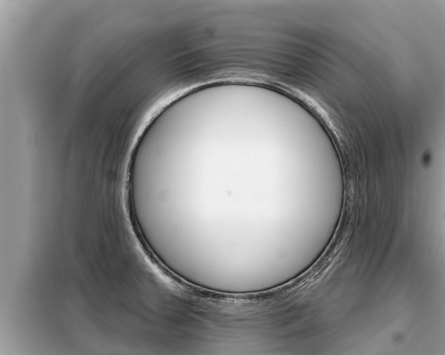 X0000099301379200805020747