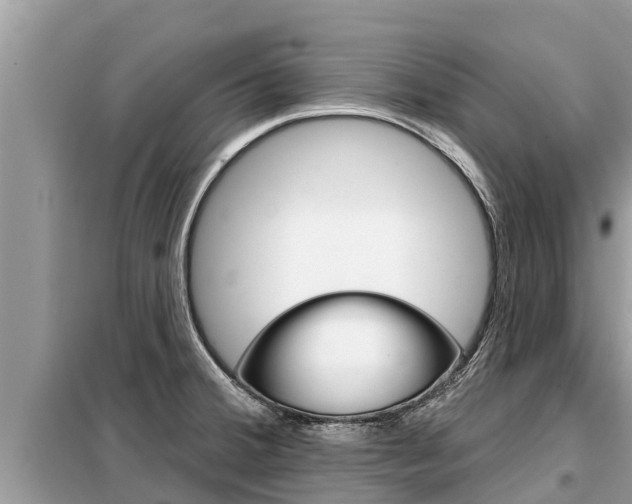X0000099301380200805020747