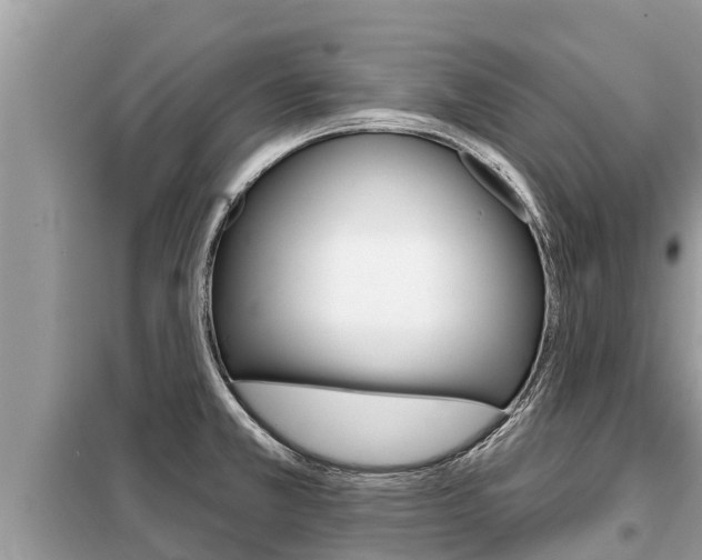 X0000099301381200805020747