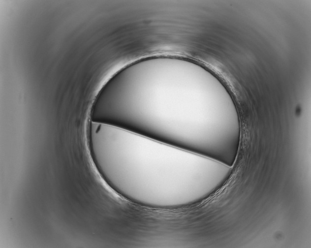 X0000099301383200805020746