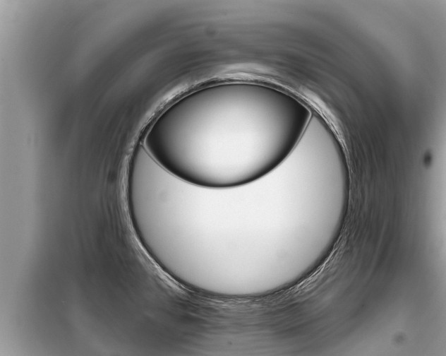 X0000099301384200805020746