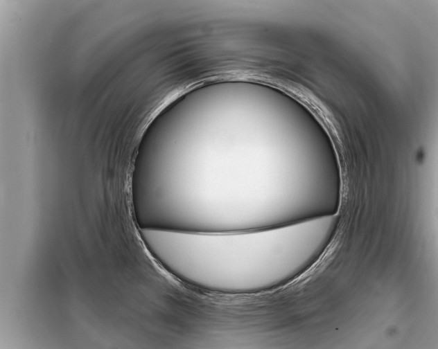 X0000099301385200805020746