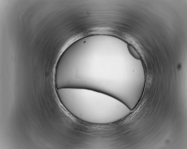 X0000099301386200805020746