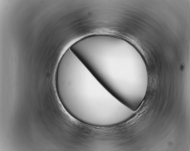 X0000099301387200805020746