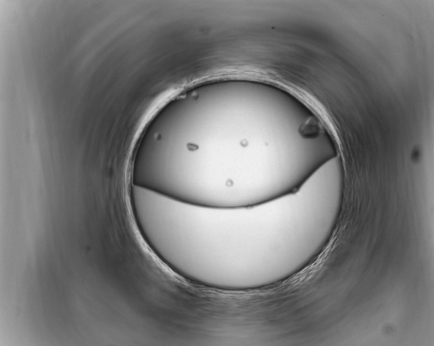 X0000099301389200805020746