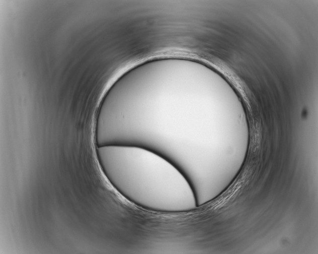 X0000099301390200805020746