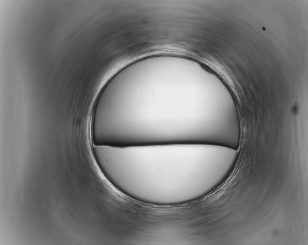 X0000099301391200805020746