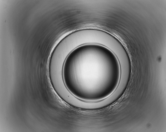 X0000099301392200805020746