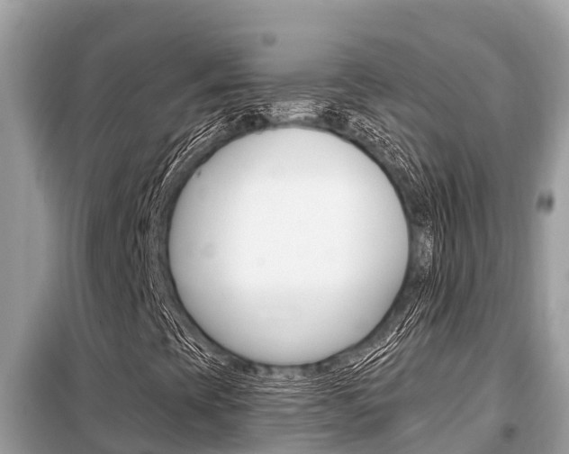 X0000099301393200805020746
