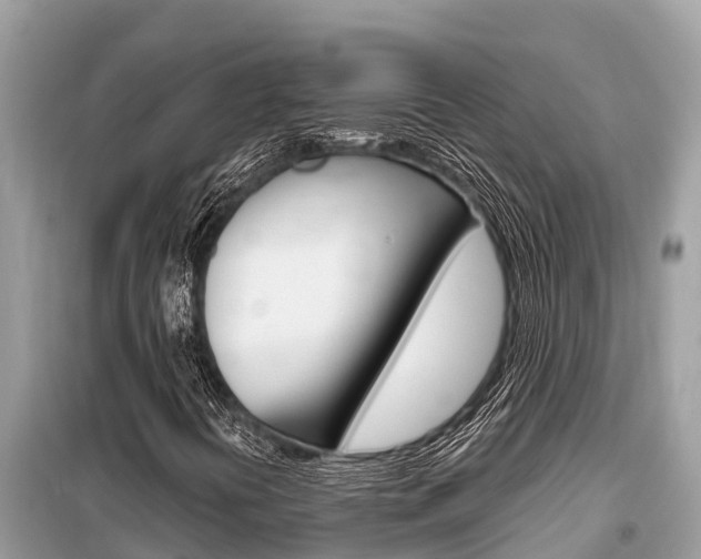 X0000099301394200805020746