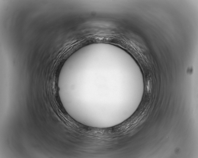 X0000099301396200805020746