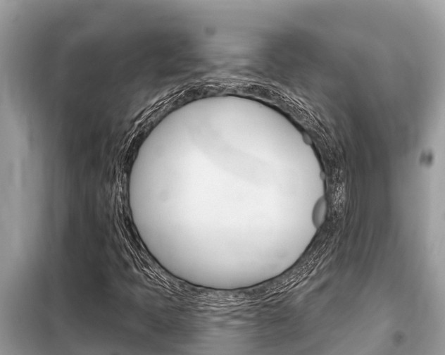X0000099301397200805020746