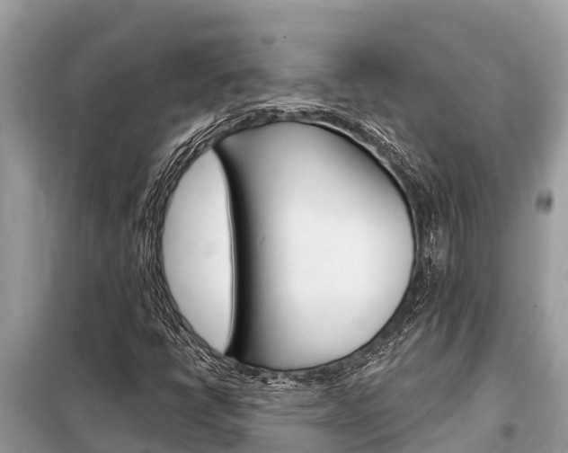 X0000099301398200805020746