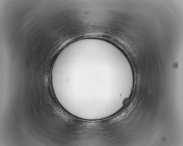 X0000099301401200805020746