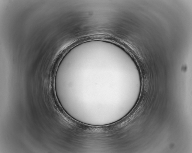 X0000099301402200805020746