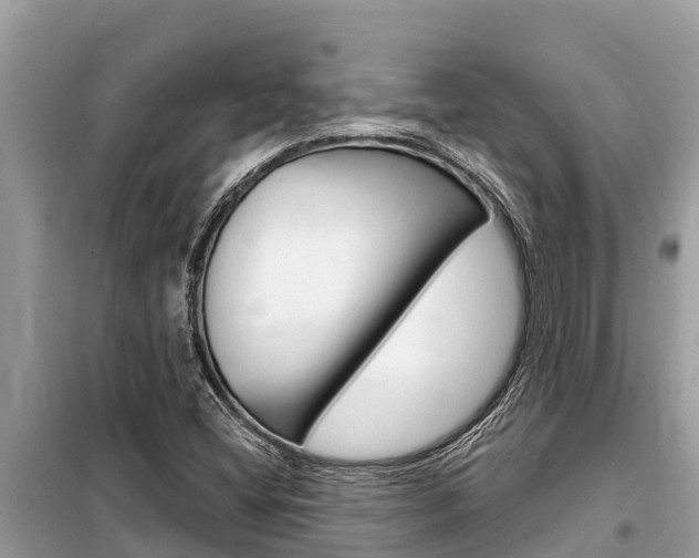 X0000099301404200805020746