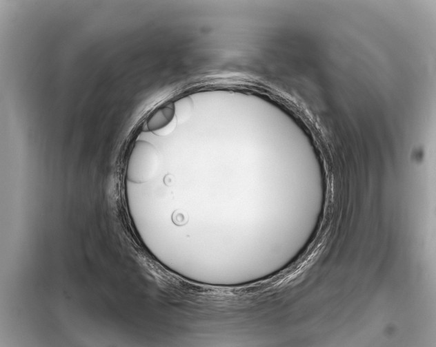 X0000099301405200805020746